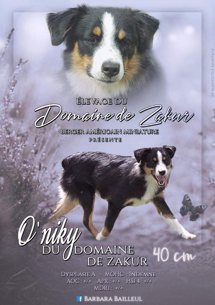 O'niky Du Domaine De Zakur