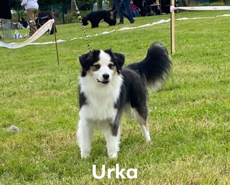 Urka Of Swanee River