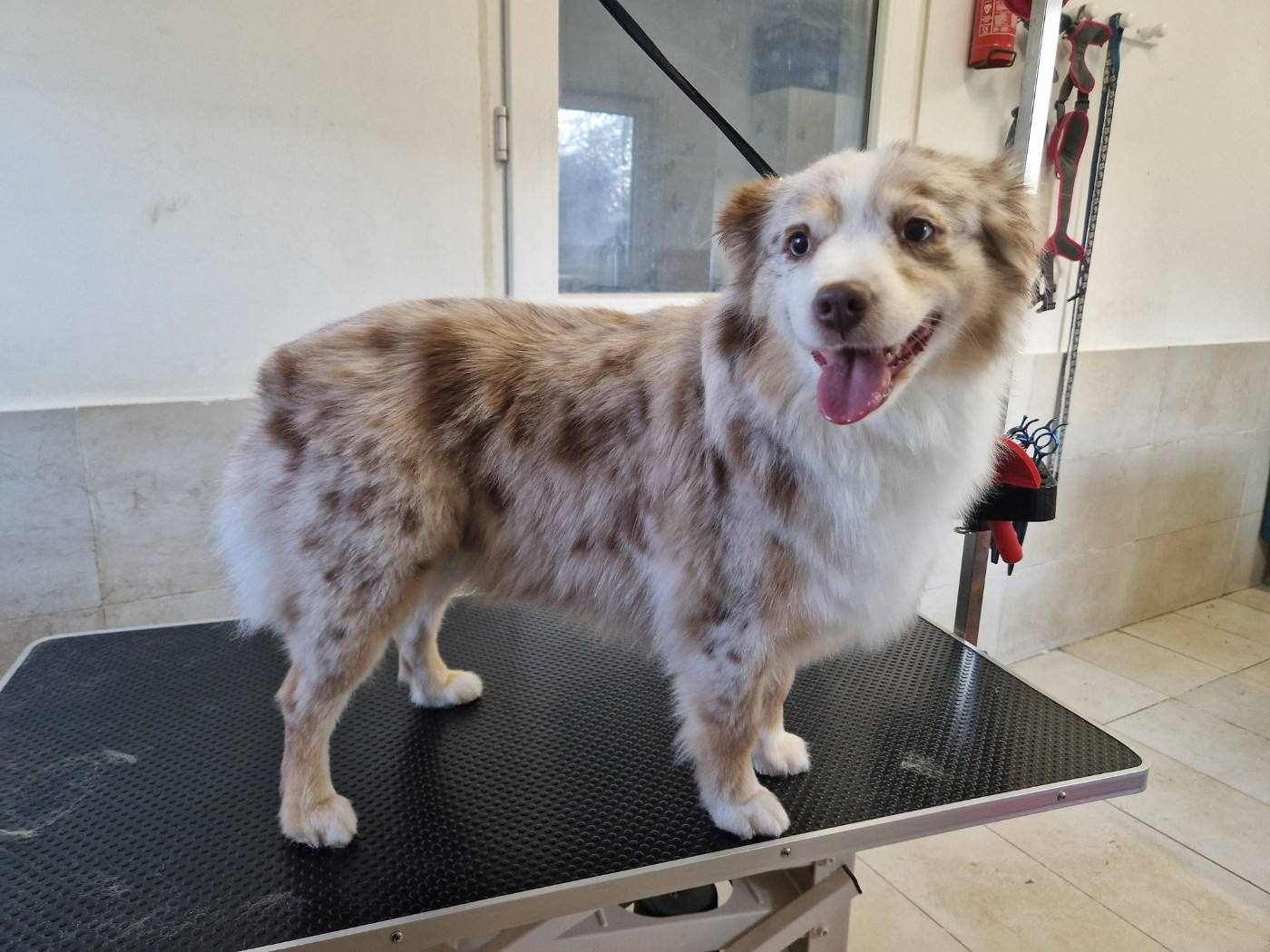 Tya Du Domaine De Zakur