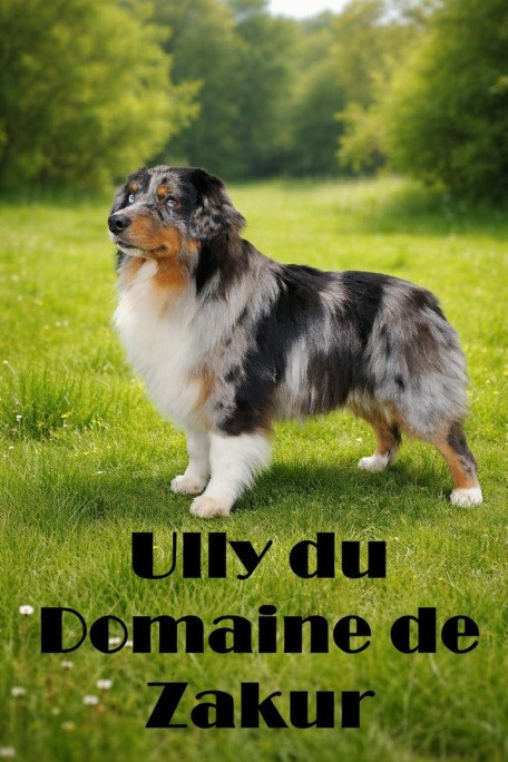 ULLY  Du Domaine De Zakur
